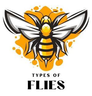 Types of Flies